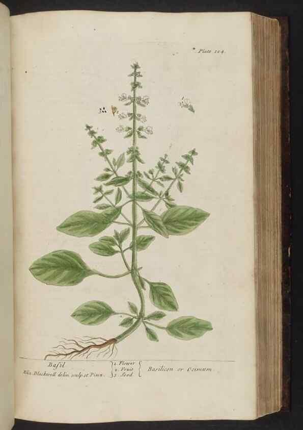 Reproducción/Reproduction 8252794620: A curious herbal. London : Printed for Samuel Harding, 1737-1739.