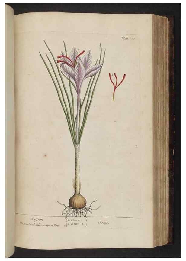 Reproducción/Reproduction 8251732549: A curious herbal. London : Printed for Samuel Harding, 1737-1739.