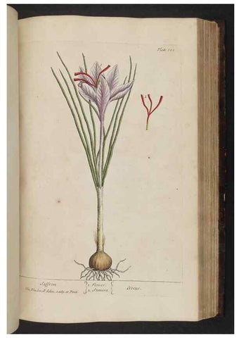 Reproducción/Reproduction 8251732549: A curious herbal. London : Printed for Samuel Harding, 1737-1739.
