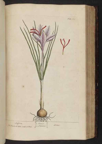Reproducción/Reproduction 8251732549: A curious herbal. London : Printed for Samuel Harding, 1737-1739.