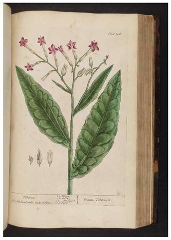 Reproducción/Reproduction 8251733221: A curious herbal. London : Printed for Samuel Harding, 1737-1739.
