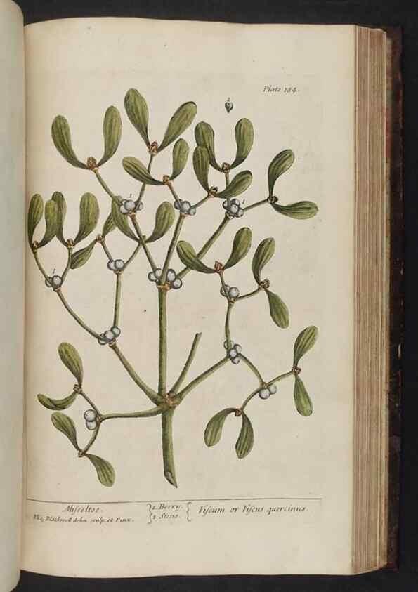 Reproducción/Reproduction 8252811974: A curious herbal. London : Printed for Samuel Harding, 1737-1739.