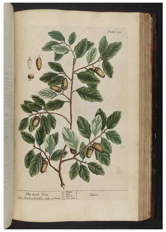 Reproducción/Reproduction 8251743537: A curious herbal. London : Printed for Samuel Harding, 1737-1739.