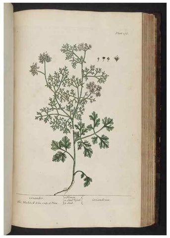 Reproducción/Reproduction 8252810282: A curious herbal. London : Printed for Samuel Harding, 1737-1739.