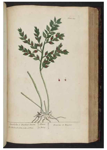 Reproducción/Reproduction 8251735119: A curious herbal. London : Printed for Samuel Harding, 1737-1739.