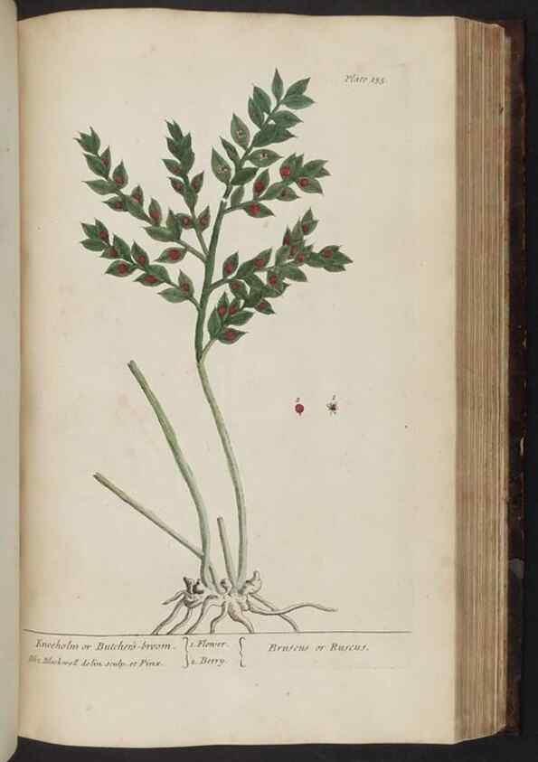 Reproducción/Reproduction 8251735119: A curious herbal. London : Printed for Samuel Harding, 1737-1739.