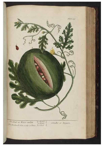 Reproducción/Reproduction 8251735513: A curious herbal. London : Printed for Samuel Harding, 1737-1739.