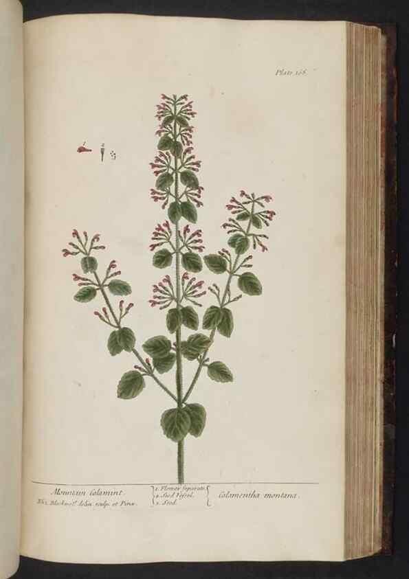 Reproducción/Reproduction 8251737831: A curious herbal. London : Printed for Samuel Harding, 1737-1739.