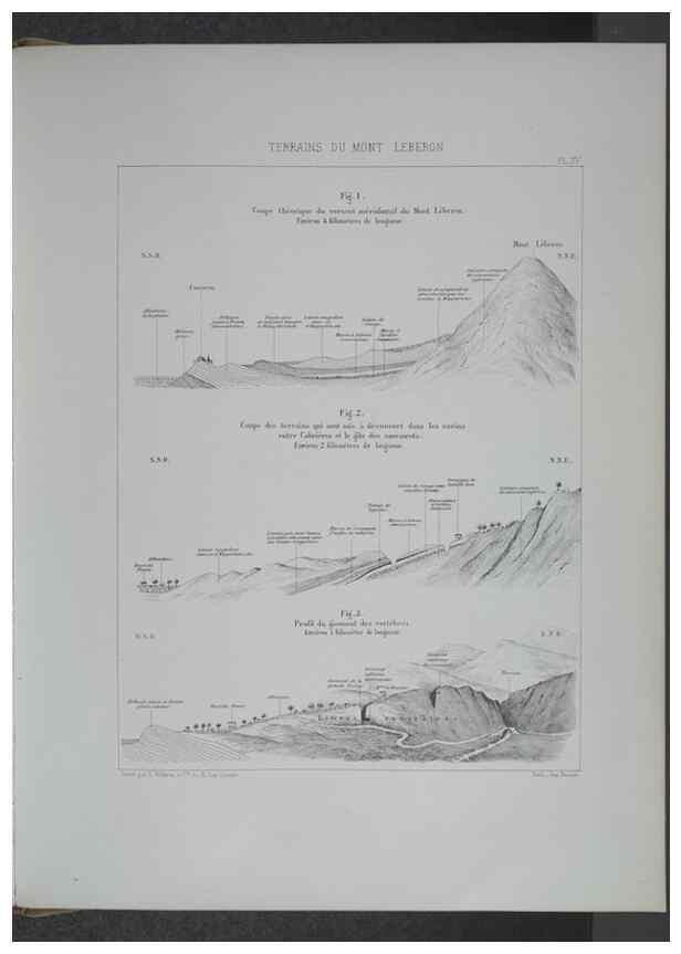 Reproducción/Reproduction 8357809445: Animaux fossiles du Mont Leberon (Vaucluse) :. Paris :Societe Geologique de France,1873 