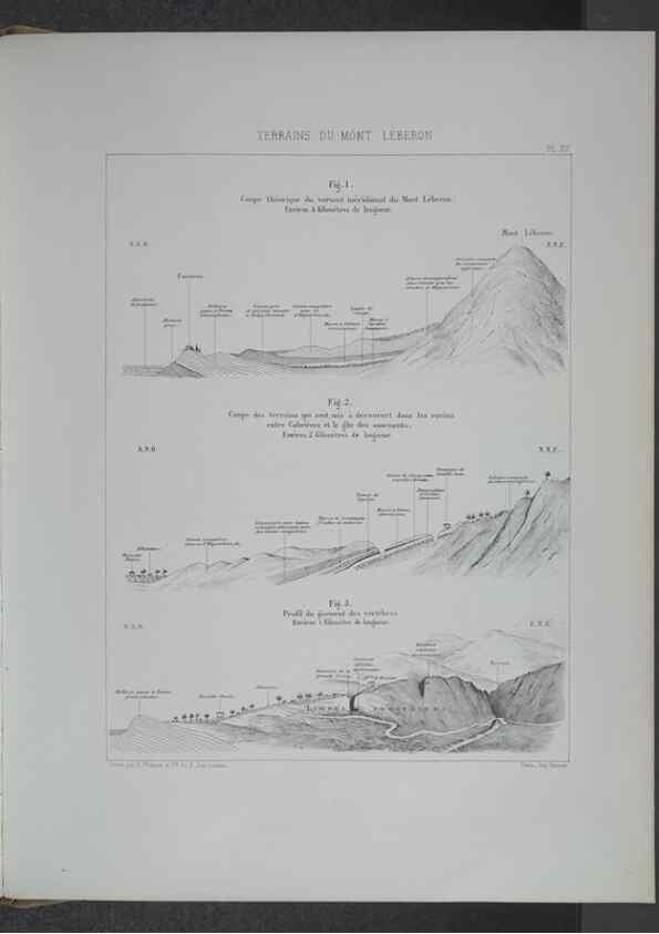 Reproducción/Reproduction 8357809445: Animaux fossiles du Mont Leberon (Vaucluse) :. Paris :Societe Geologique de France,1873 