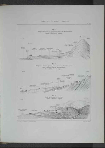 Reproducción/Reproduction 8357809445: Animaux fossiles du Mont Leberon (Vaucluse) :. Paris :Societe Geologique de France,1873 