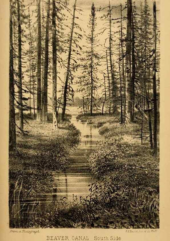 Reproducción/Reproduction 8357346911: The American beaver and his works.. Philadelphia,J.B. Lippincott & Co.,1868.