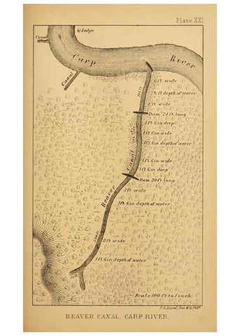 Reproducción/Reproduction 8357347913: The American beaver and his works.. Philadelphia,J.B. Lippincott & Co.,1868.