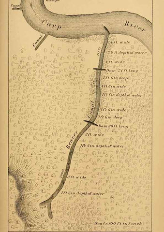 Reproducción/Reproduction 8357347913: The American beaver and his works.. Philadelphia,J.B. Lippincott & Co.,1868.