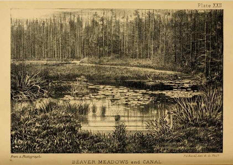 Reproducción/Reproduction 8358411582: The American beaver and his works.. Philadelphia,J.B. Lippincott & Co.,1868.