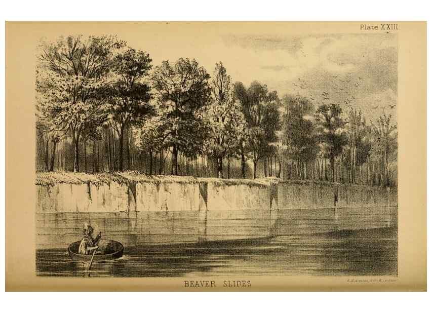 Reproducción/Reproduction 8357350431: The American beaver and his works.. Philadelphia,J.B. Lippincott & Co.,1868.
