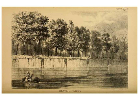 Reproducción/Reproduction 8357350431: The American beaver and his works.. Philadelphia,J.B. Lippincott & Co.,1868.
