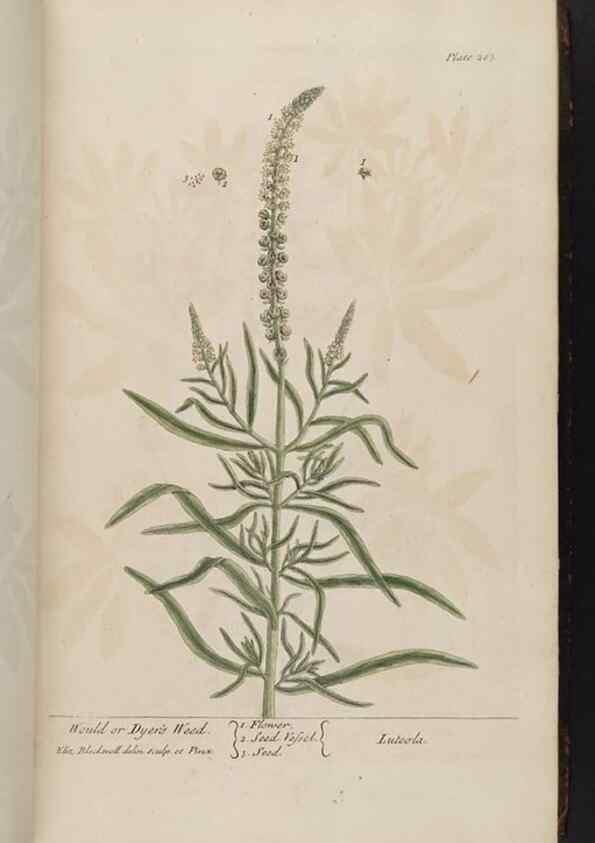 Reproducción/Reproduction 8361112113: A curious herbal. London : Printed for Samuel Harding, 1737-1739.