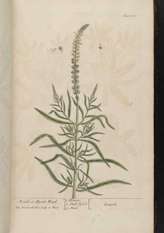 Reproducción/Reproduction 8361112113: A curious herbal. London : Printed for Samuel Harding, 1737-1739.