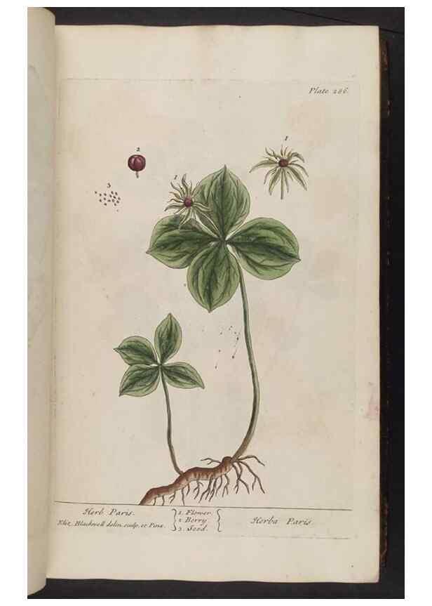 Reproducción/Reproduction 8361112733: A curious herbal. London : Printed for Samuel Harding, 1737-1739.