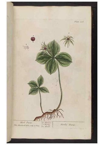 Reproducción/Reproduction 8361112733: A curious herbal. London : Printed for Samuel Harding, 1737-1739.