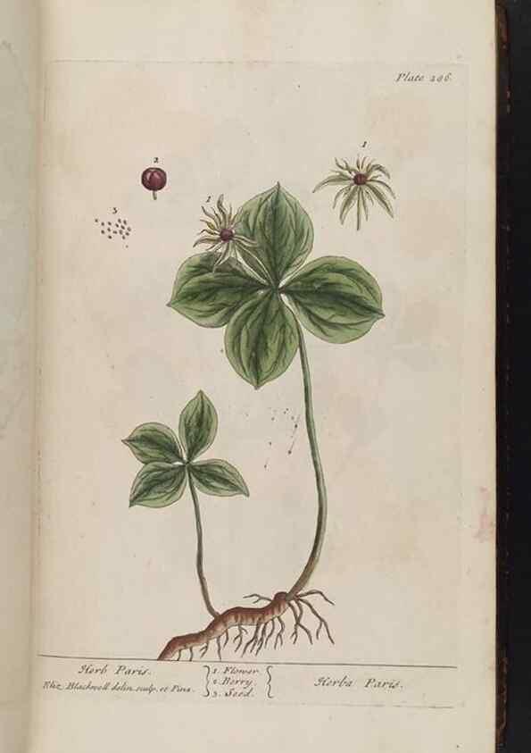 Reproducción/Reproduction 8361112733: A curious herbal. London : Printed for Samuel Harding, 1737-1739.