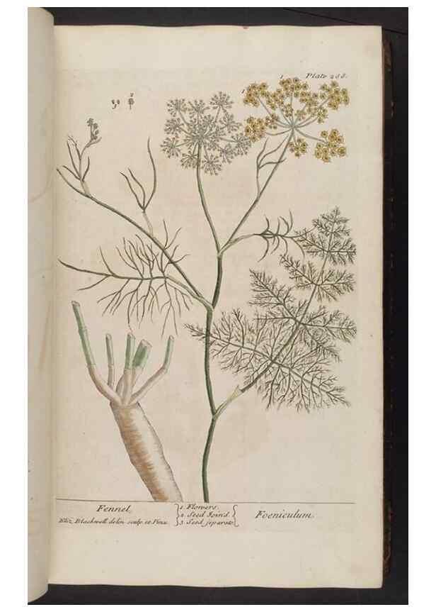 Reproducción/Reproduction 8362174796: A curious herbal. London : Printed for Samuel Harding, 1737-1739.