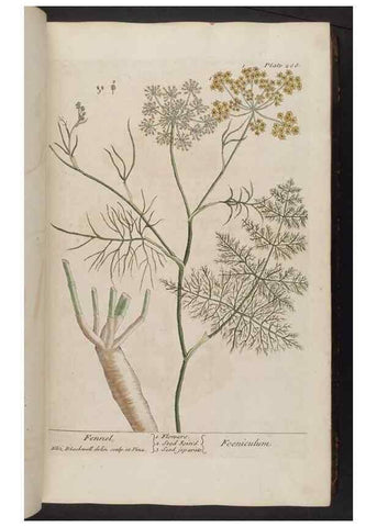 Reproducción/Reproduction 8362174796: A curious herbal. London : Printed for Samuel Harding, 1737-1739.