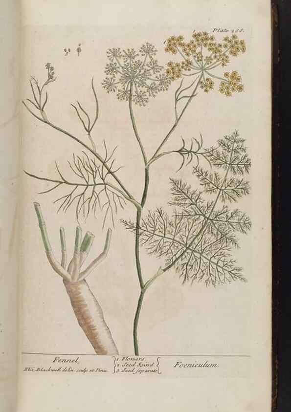 Reproducción/Reproduction 8362174796: A curious herbal. London : Printed for Samuel Harding, 1737-1739.