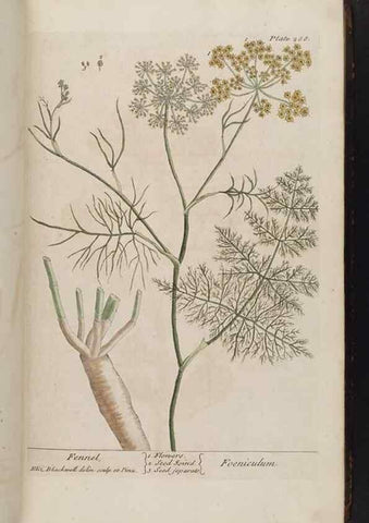 Reproducción/Reproduction 8362174796: A curious herbal. London : Printed for Samuel Harding, 1737-1739.