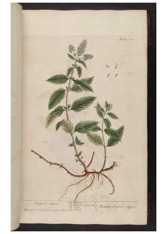 Reproducción/Reproduction 8362175636: A curious herbal. London : Printed for Samuel Harding, 1737-1739.