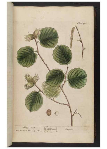 Reproducción/Reproduction 8361114523: A curious herbal. London : Printed for Samuel Harding, 1737-1739.