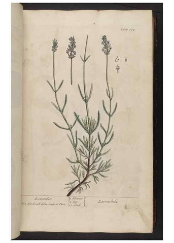 Reproducción/Reproduction 8362176510: A curious herbal. London : Printed for Samuel Harding, 1737-1739.