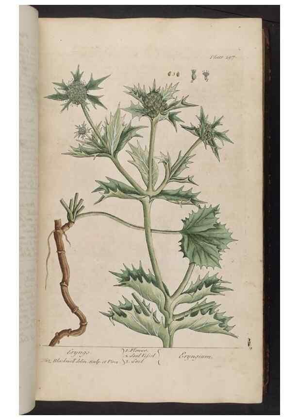 Reproducción/Reproduction 8362177662: A curious herbal. London : Printed for Samuel Harding, 1737-1739.