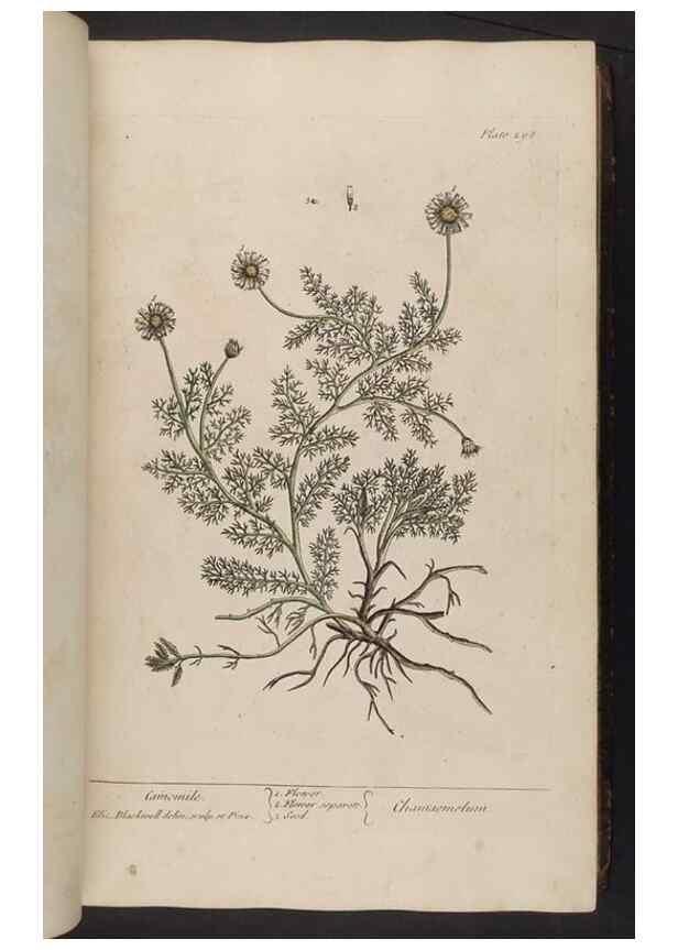 Reproducción/Reproduction 8362177948: A curious herbal. London : Printed for Samuel Harding, 1737-1739.