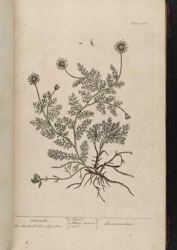 Reproducción/Reproduction 8362177948: A curious herbal. London : Printed for Samuel Harding, 1737-1739.