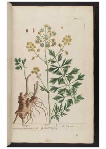 Reproducción/Reproduction 8362171480: A curious herbal. London : Printed for Samuel Harding, 1737-1739.