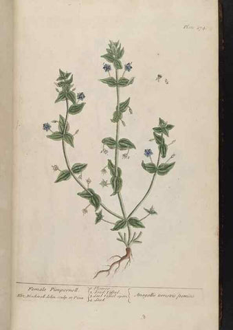 Reproducción/Reproduction 8361109701: A curious herbal. London : Printed for Samuel Harding, 1737-1739.