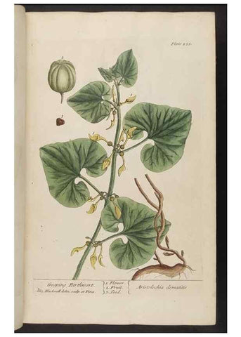Reproducción/Reproduction 8362166208: A curious herbal. London : Printed for Samuel Harding, 1737-1739.