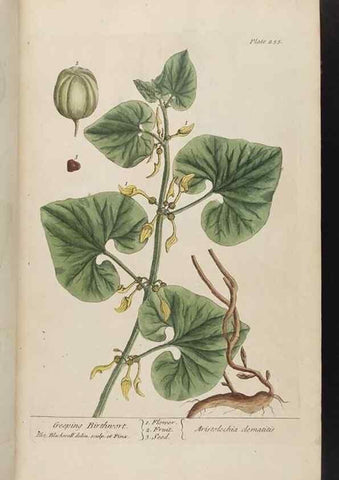 Reproducción/Reproduction 8362166208: A curious herbal. London : Printed for Samuel Harding, 1737-1739.