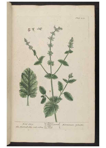 Reproducción/Reproduction 8361105623: A curious herbal. London : Printed for Samuel Harding, 1737-1739.