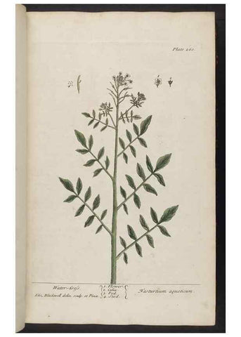 Reproducción/Reproduction 8362167562: A curious herbal. London : Printed for Samuel Harding, 1737-1739.