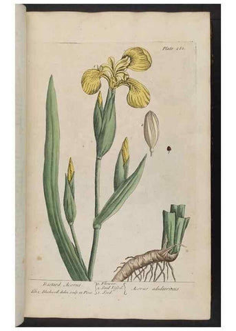 Reproducción/Reproduction 8361106507: A curious herbal. London : Printed for Samuel Harding, 1737-1739.
