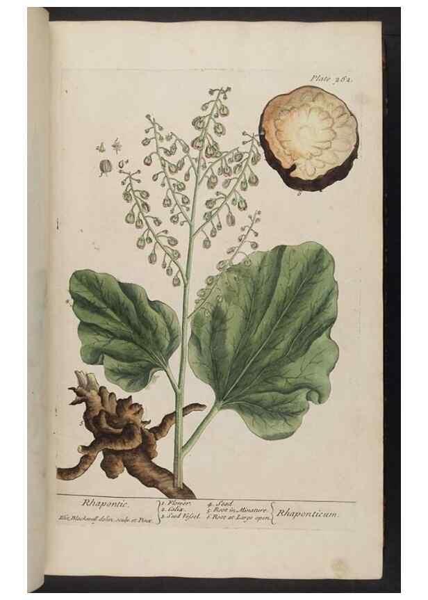Reproducción/Reproduction 8362168250: A curious herbal. London : Printed for Samuel Harding, 1737-1739.