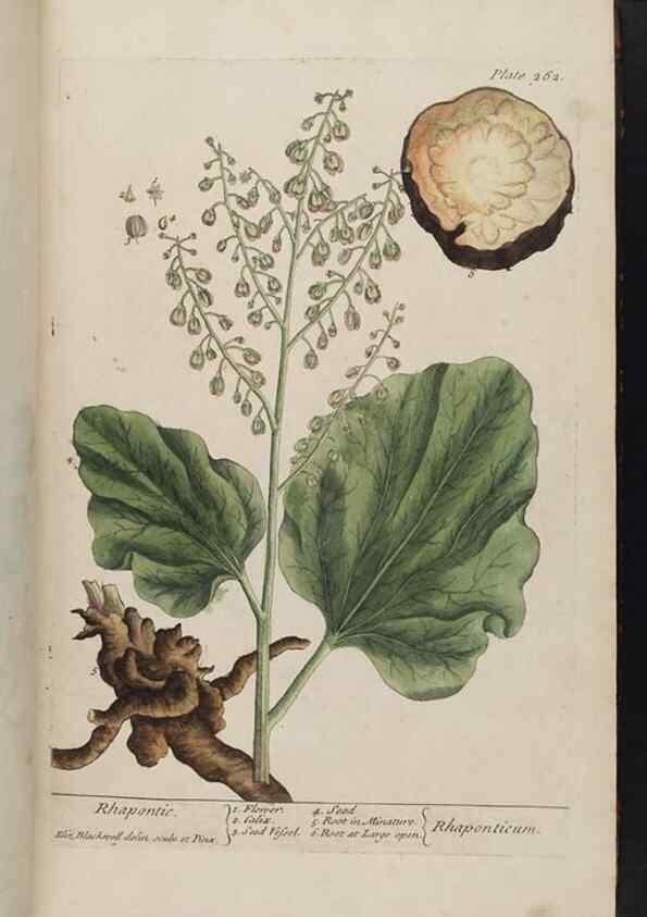 Reproducción/Reproduction 8362168250: A curious herbal. London : Printed for Samuel Harding, 1737-1739.
