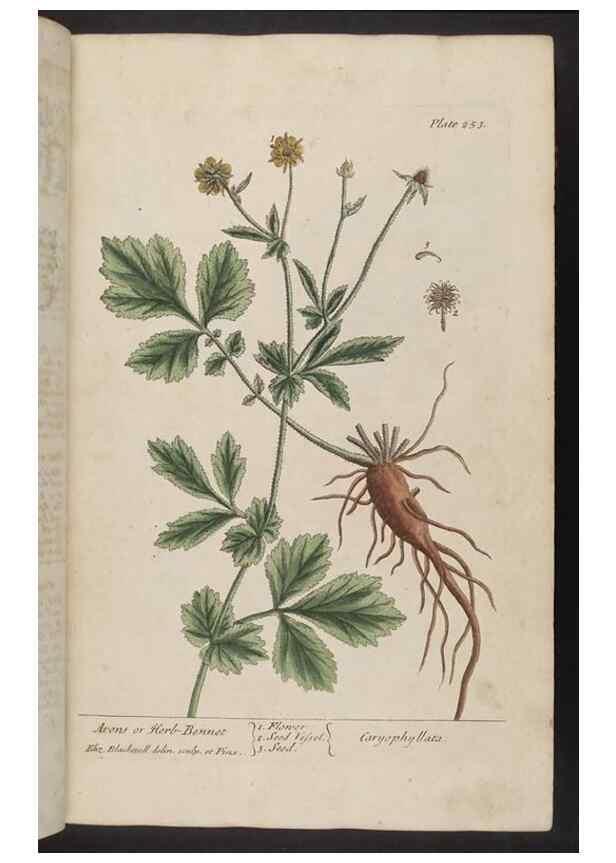 Reproducción/Reproduction 8361104163: A curious herbal. London : Printed for Samuel Harding, 1737-1739.