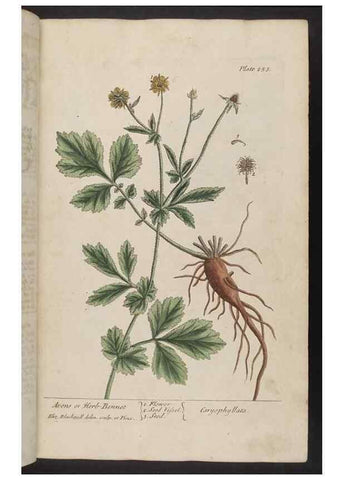 Reproducción/Reproduction 8361104163: A curious herbal. London : Printed for Samuel Harding, 1737-1739.