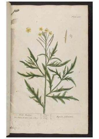 Reproducción/Reproduction 8362169398: A curious herbal. London : Printed for Samuel Harding, 1737-1739.