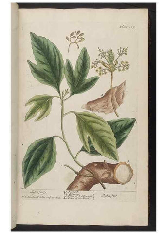 Reproducción/Reproduction 8361108171: A curious herbal. London : Printed for Samuel Harding, 1737-1739.