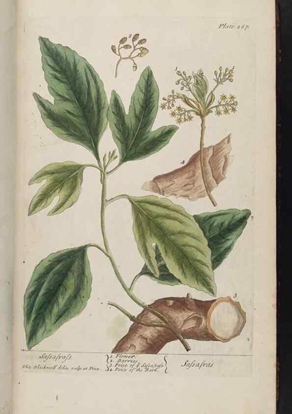 Reproducción/Reproduction 8361108171: A curious herbal. London : Printed for Samuel Harding, 1737-1739.